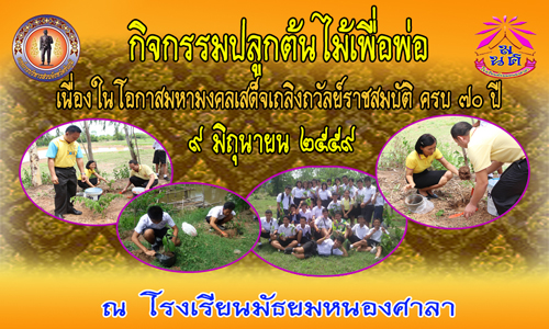nongsala1